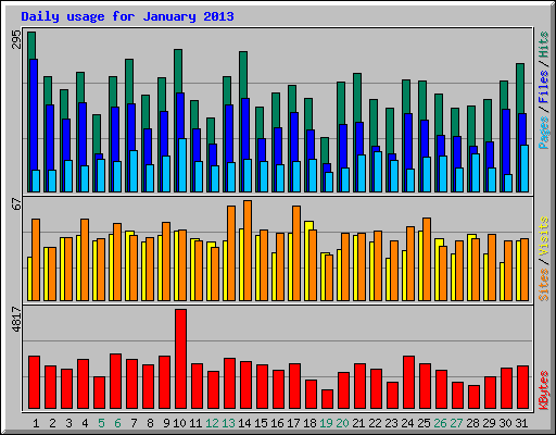Daily usage for January 2013