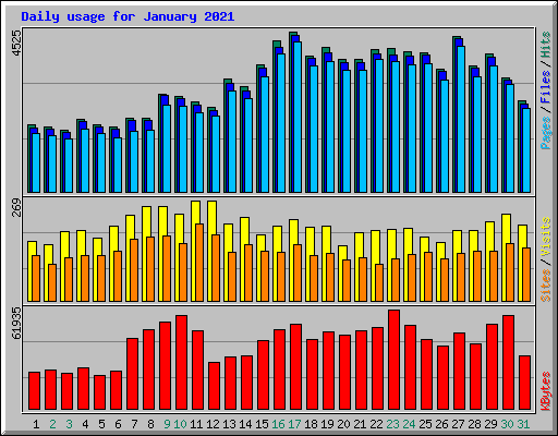 Daily usage for January 2021
