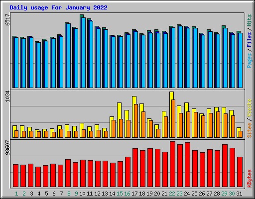 Daily usage for January 2022