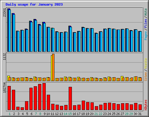 Daily usage for January 2023