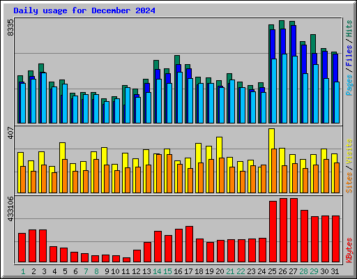 Daily usage for December 2024