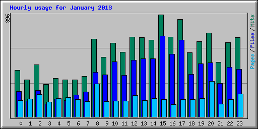 Hourly usage for January 2013