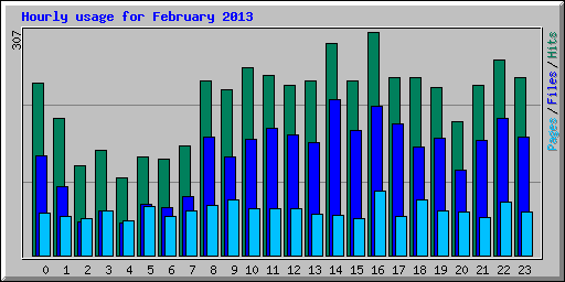 Hourly usage for February 2013