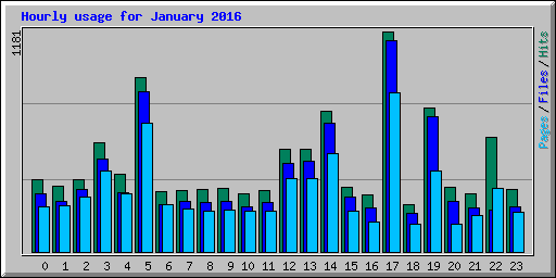 Hourly usage for January 2016