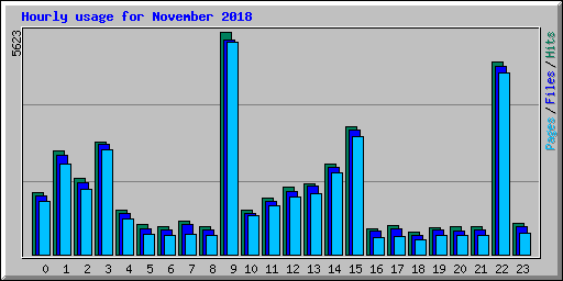Hourly usage for November 2018
