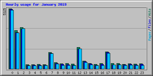Hourly usage for January 2019