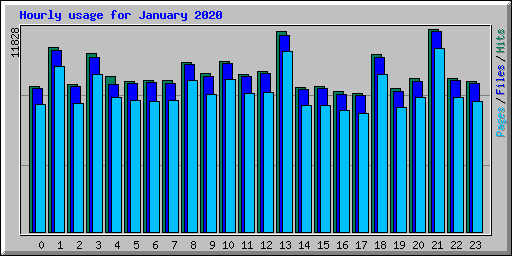 Hourly usage for January 2020