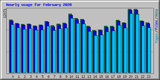 Hourly usage for February 2020