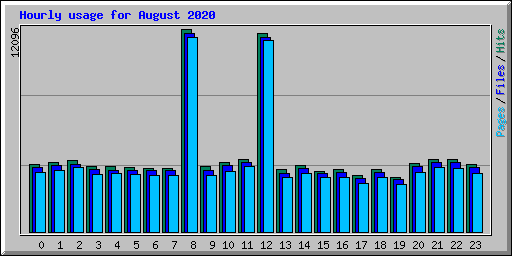 Hourly usage for August 2020