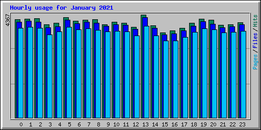 Hourly usage for January 2021
