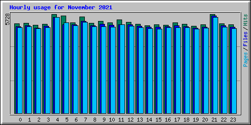 Hourly usage for November 2021
