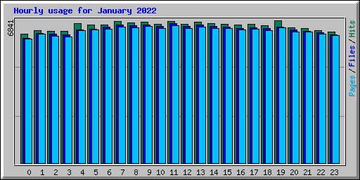 Hourly usage for January 2022
