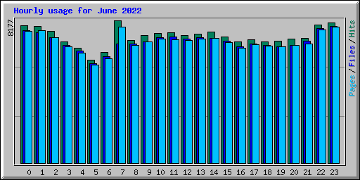 Hourly usage for June 2022