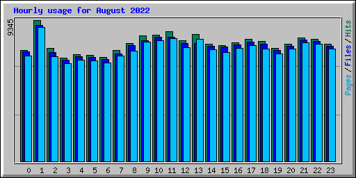 Hourly usage for August 2022