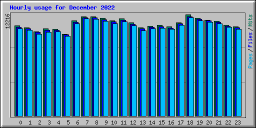 Hourly usage for December 2022