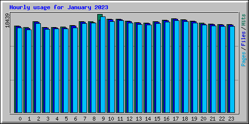 Hourly usage for January 2023