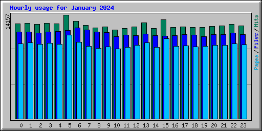 Hourly usage for January 2024