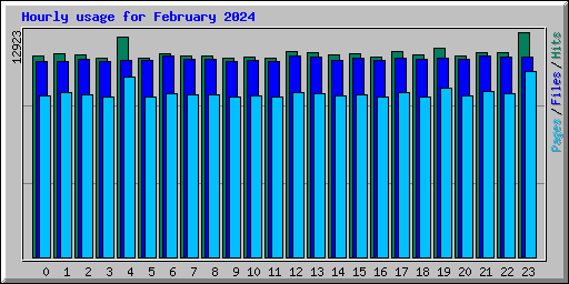 Hourly usage for February 2024