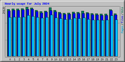 Hourly usage for July 2024