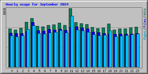 Hourly usage for September 2024