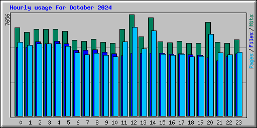 Hourly usage for October 2024