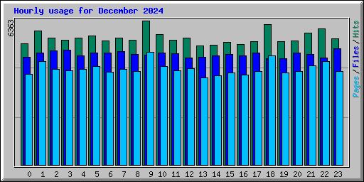 Hourly usage for December 2024