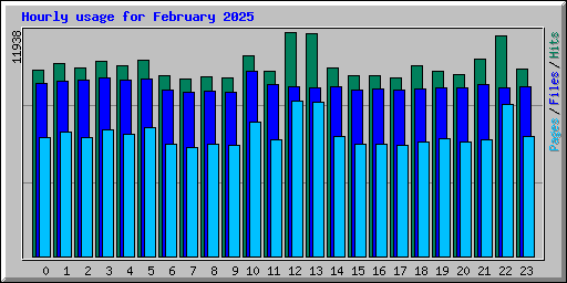 Hourly usage for February 2025