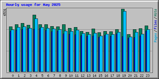 Hourly usage for May 2025